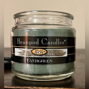Beanpod 4.5 oz Evergreen Soy Scented Candle with Lid Holiday Green